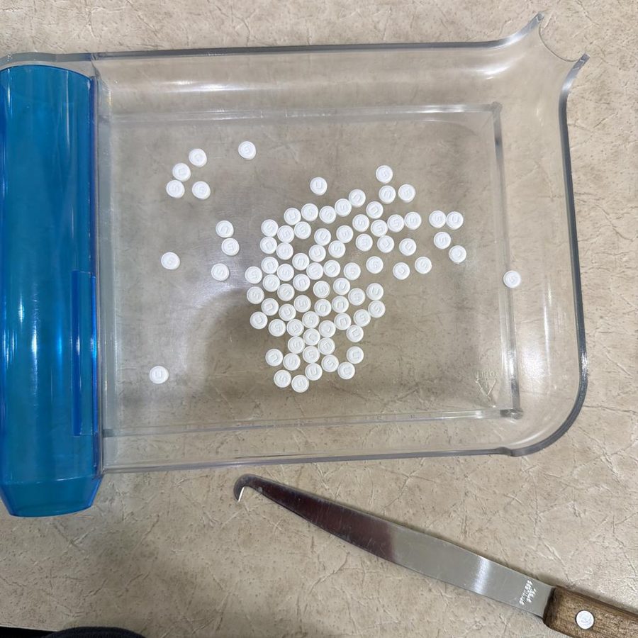 Small white tablets seen from far away in a large tray