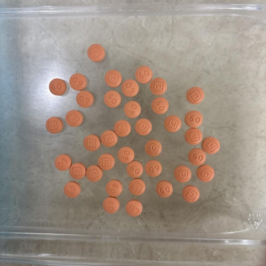 Forty orange round tablets spread evenly on a counting tray