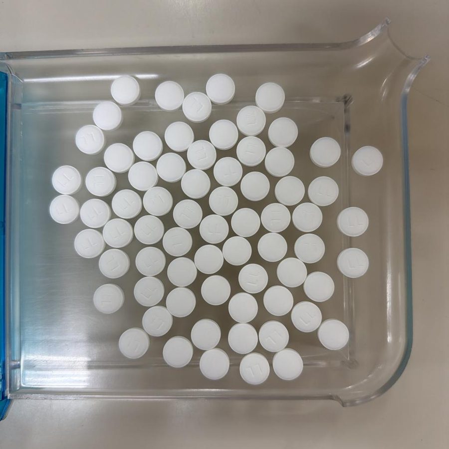 Seventy round white tablets spread in a single layer on a clear counting tray, photographed straight down