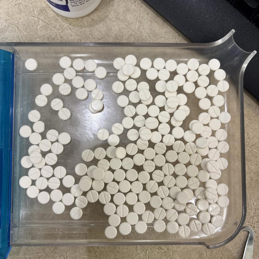 Two hundred and one white tablets crowded across an entire counting tray